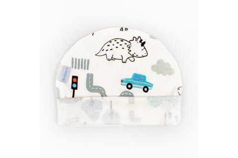 Шапочка інтерлок Dino in town d962-1мст-нв-38 фото
