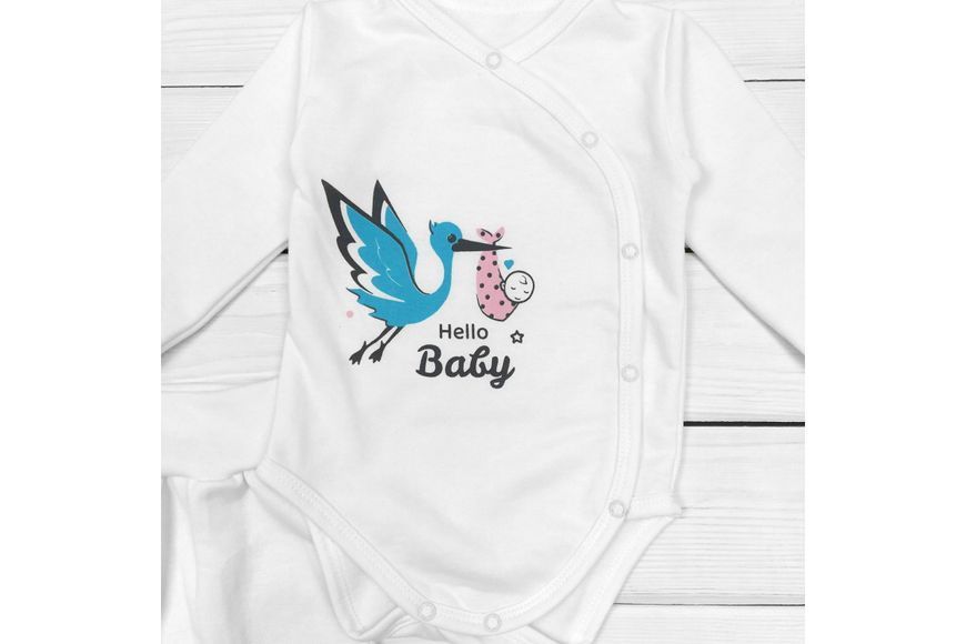 Набор для младенцев с боди и штанами Hello Baby d345-1айс-мл-68 фото